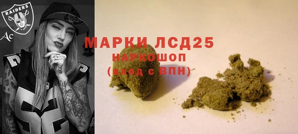 шишки Новозыбков