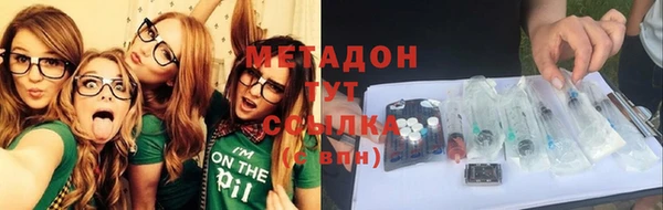 шишки Новозыбков