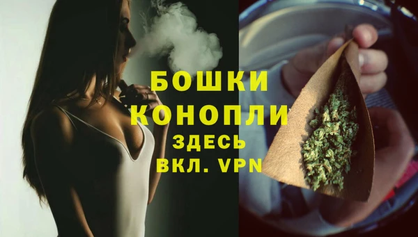 PSILOCYBIN Приозерск
