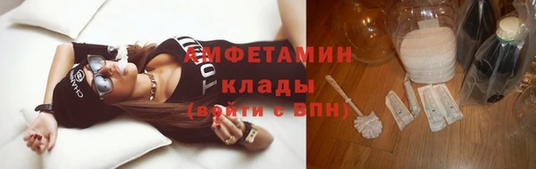 шишки Новозыбков