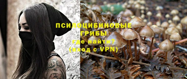 герыч Новокубанск