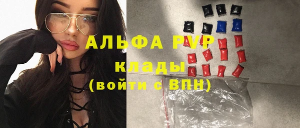 шишки Новозыбков