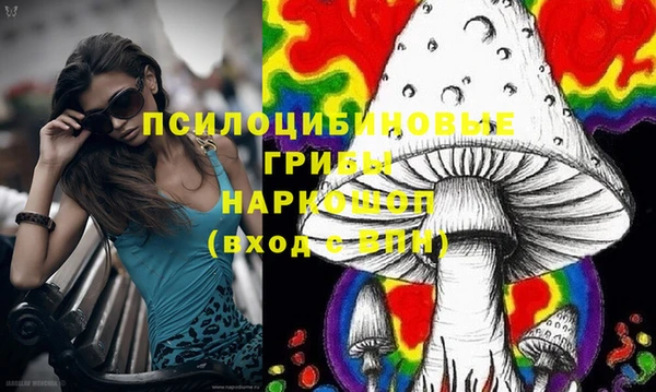 шишки Новозыбков