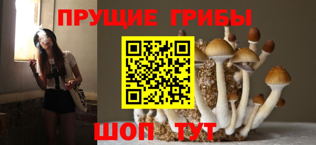 как найти закладки  Вход с VPN  Серов  Псилоцибиновые грибы Psilocybine cubensis 